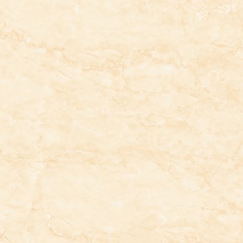 Gach-Y-My-60x60-S68010R-