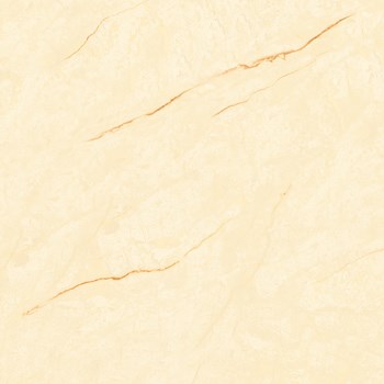 Gach-Y-My-60x60-F68009-