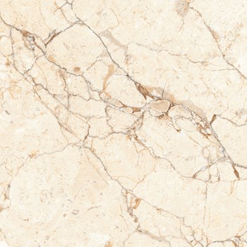 Gach-Y-My-60x60-F68008C-