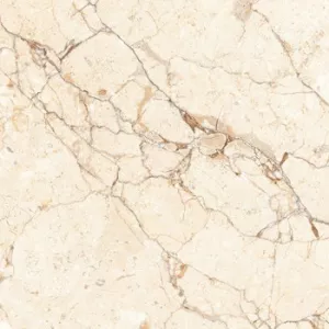 Gạch Ý Mỹ 60x60 F68008C