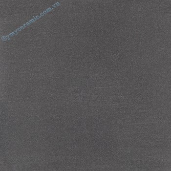 Gach-Y-My-60x60-P66008S-