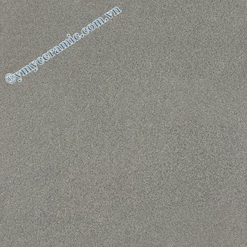 Gach-Y-My-60x60-P66007S-