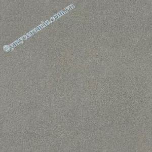 Gạch Ý Mỹ 60x60 P66007S