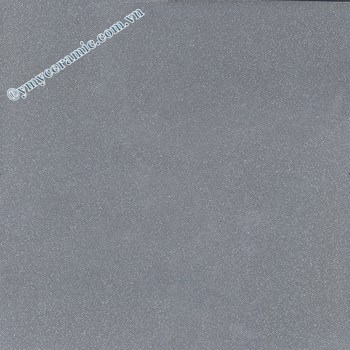 Gach-Y-My-60x60-P66006-