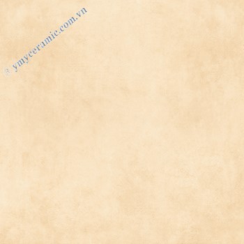 Gach-Y-My-60x60-N65002H-