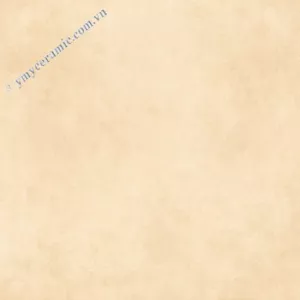 Gạch Ý Mỹ 60x60 N65002H