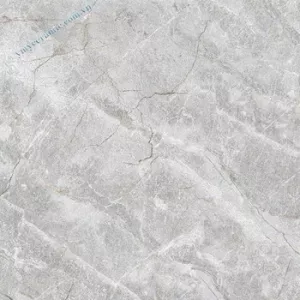 Gạch Ý Mỹ 60x60 P65011C