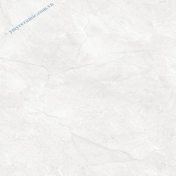 Gach-Y-My-60x60-P65012C-