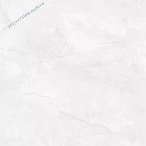 Gạch Ý Mỹ 60x60 P65012C