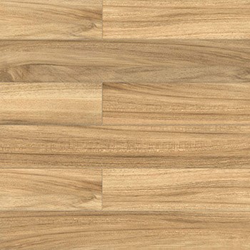 Gach-Y-My-60x60-P68034-