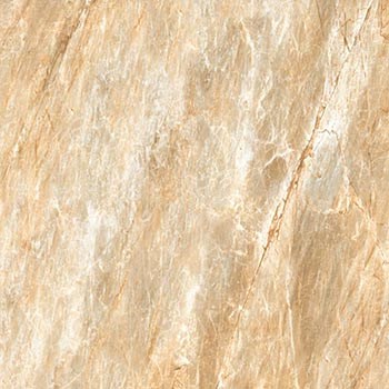 Gach-Y-My-60x60-TR60005-