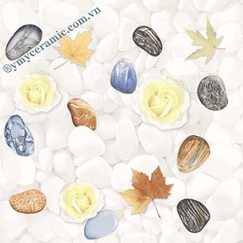 Gach-Y-My-30x30-SSN323E-