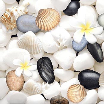 Gach-Y-My-30x30-ASN315KTS-