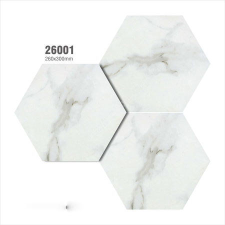 Gạch lục giác 26×30 26001