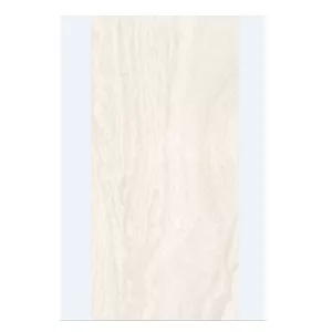 Gạch KIS 60×120 K12029-PA