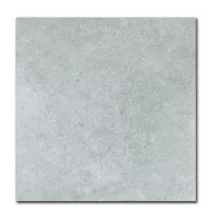 Gạch KIS 60× 60 PCY60S02_R/P