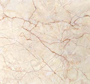 Gạch ceramic Viglacera 500x500 H506