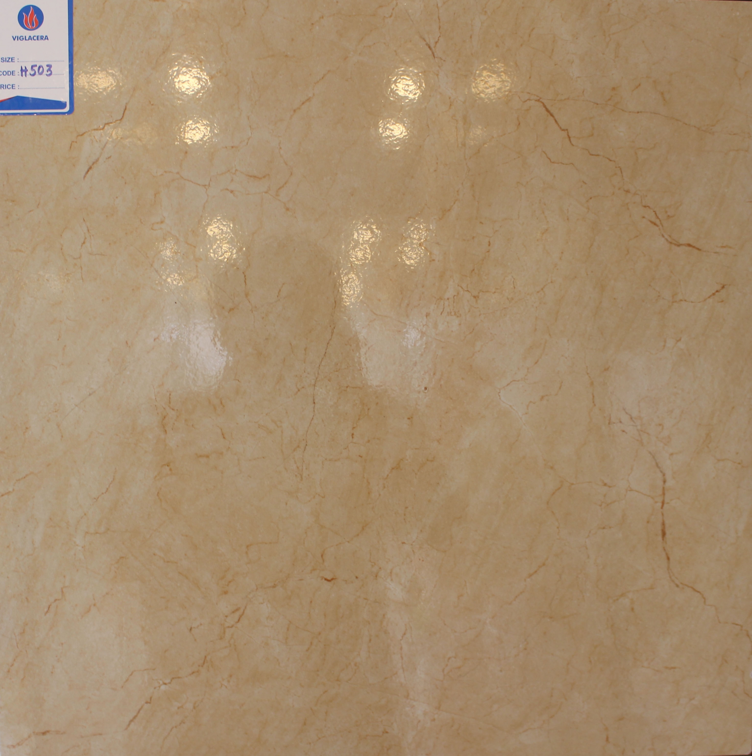 Gạch lát nền Viglacera H503