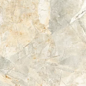 Gạch lát nền Viglacera H502