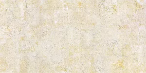 Gạch xương bán sứ Viglacera BS3601