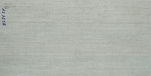 Gạch ốp lát xương bán sứ Viglacera BS 3638