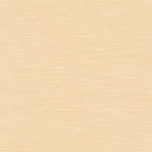 Gạch lát sàn chống trơn Viglacera N3622