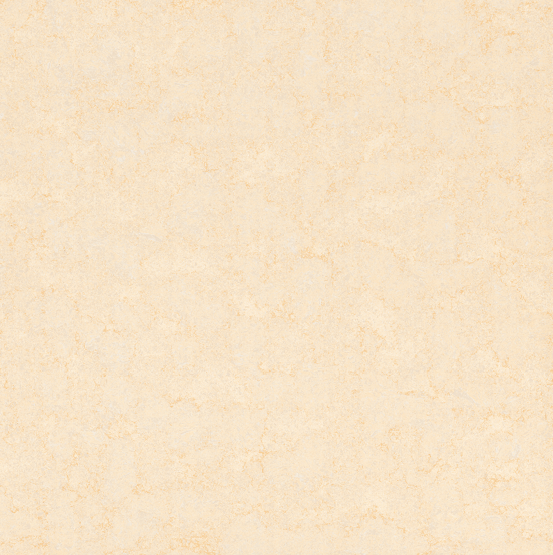 22993_gach_granite_ky_thuat_so_viglacera_ub8820-