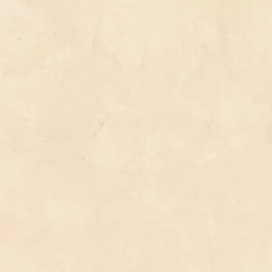 Gạch ốp lát Granite Viglacera Eco-S820