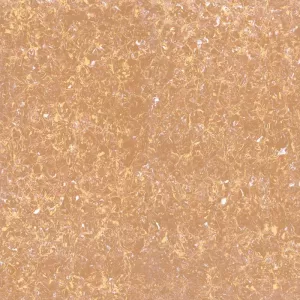 Gạch Granite Viglacera TS2-810