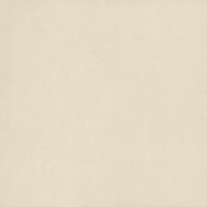 Gạch Granite Viglacera TS5-601