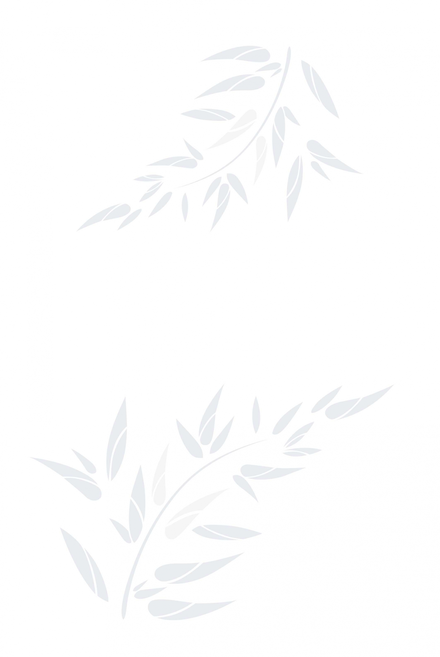 14239_gach_op_tuong_30x45_viglacera_ub_4501-