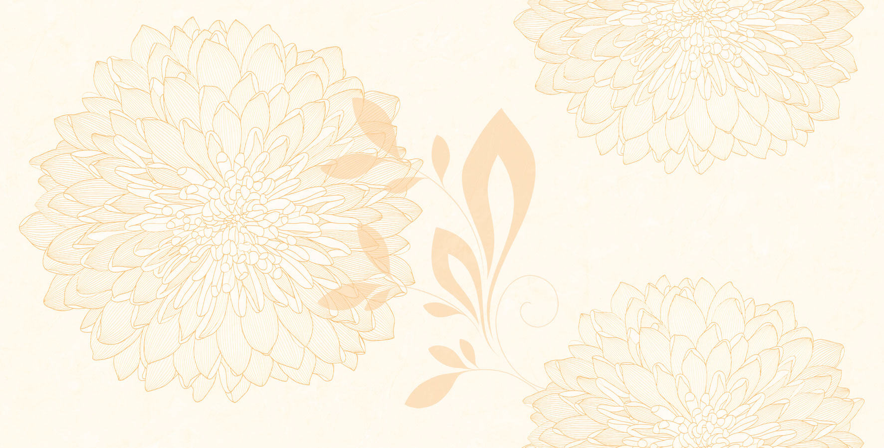 11655_gach_op_tuong_ceramic_viglacera_f3618a-