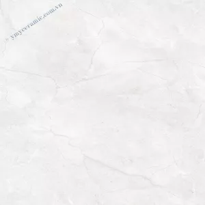 Gạch lát nền 60×60 Ý Mỹ P65012C
