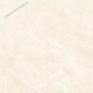Gạch lát nền 60×60 Ý Mỹ P65013C