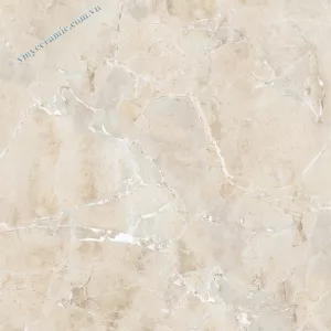 Gạch lát nền 60×60 Ý Mỹ N68027C
