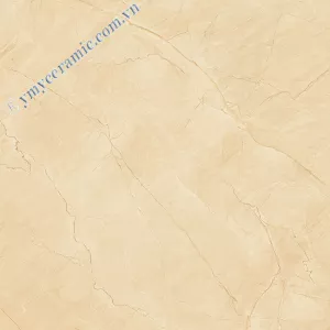 Gạch lát nền 60×60 Ý Mỹ N68031C