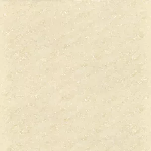 Gạch lát nền 60x60 Ý Mỹ P67002
