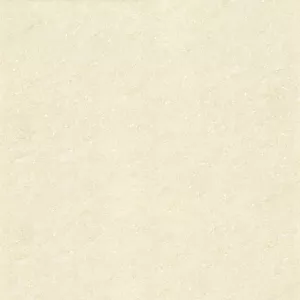 Gạch lát nền 60x60 Ý Mỹ P67003