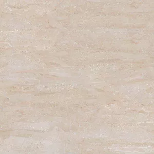Gạch lát nền 60x60 Ý Mỹ p65010