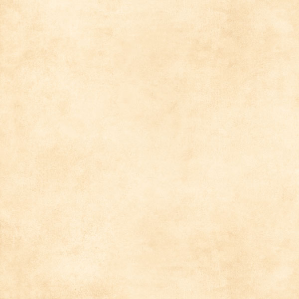 17965_gach_granite_men_mo_gia_co_y_my_p85002-