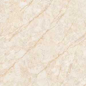 Gạch lát nền bóng kiếng toàn phần Ý Mỹ P88011