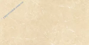 Gạch granite bóng kính toàn phần Ý Mỹ P6128009