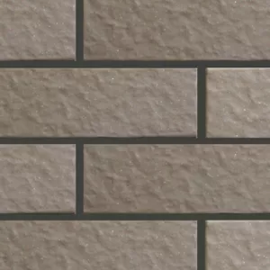 Gạch trang trí INAX 355/VIZ-8N
