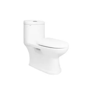 Bồn cầu Viglacera két liền C109