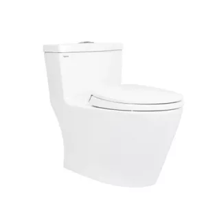 Bồn cầu Viglacera 1 khối V62