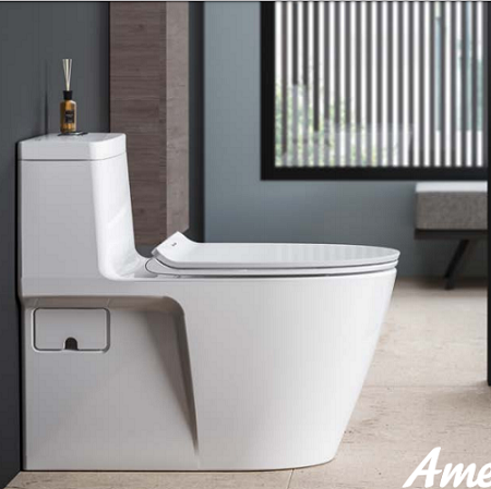 bon-cau-1-khoi-american-standard-vf-1808e-