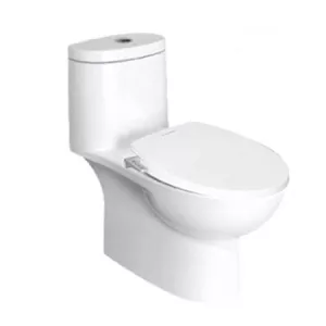 Bồn cầu American VF-2024S3 kèm nắp rửa thông minh