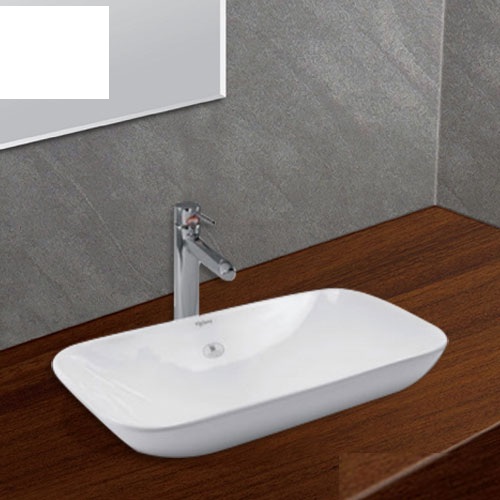 chau-rua-viglacera-v28-