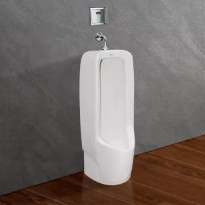 Tiểu nam Viglacera BS604