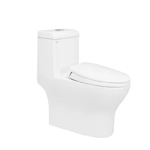 Bồn cầu Viglacera V45